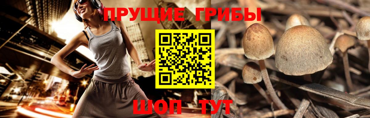 Псилоцибиновые грибы Magic Shrooms Новоалтайск